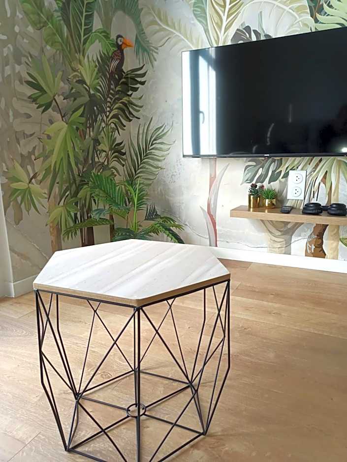 L'appart'hôtel - 1 Appartement Love Room avec Spa Privatif & Autres Appartements Standards à thèmes sans spa