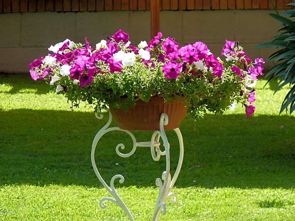 Hotel Versilia