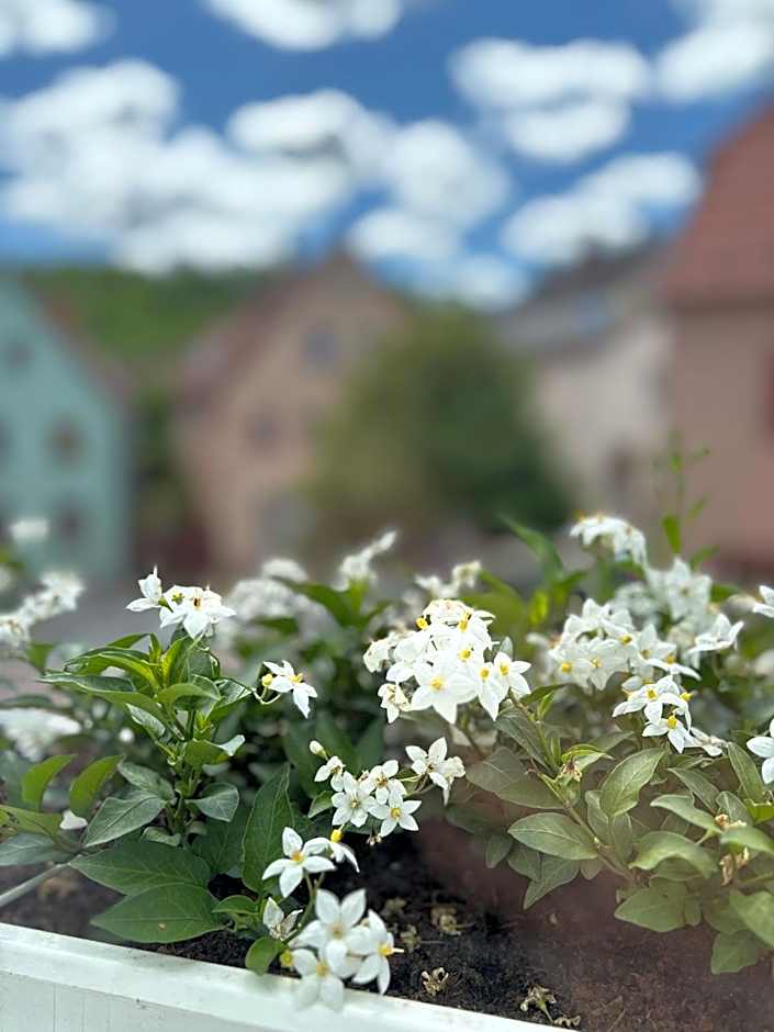 Gasthof Rhönlust zentrum
