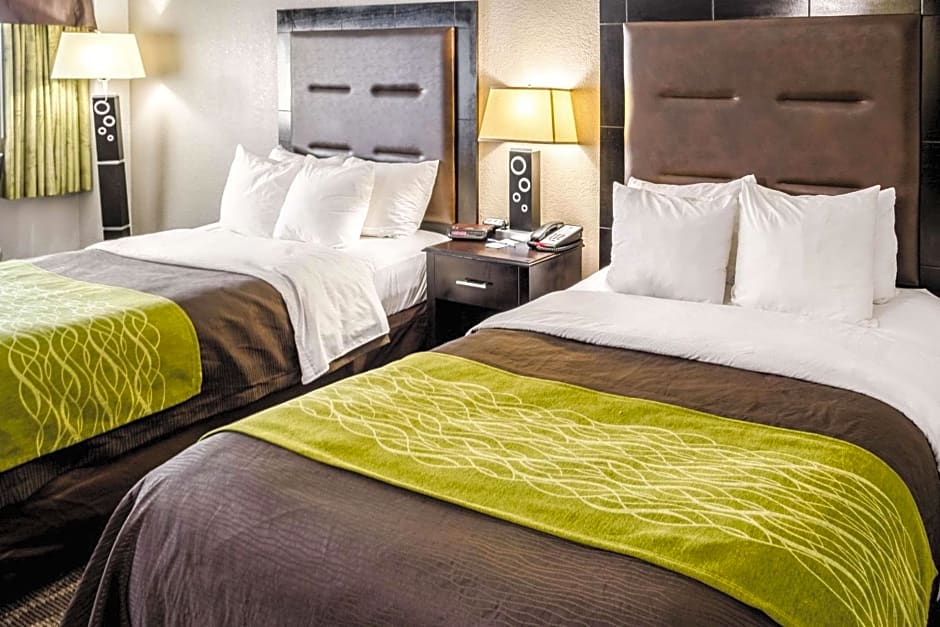 Comfort Inn Downtown Charleston