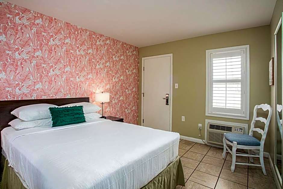 The Local - St. Augustine