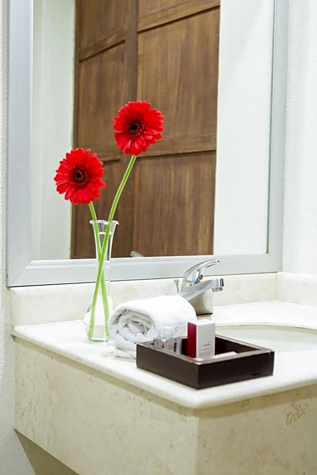 Mision Catedral Morelia