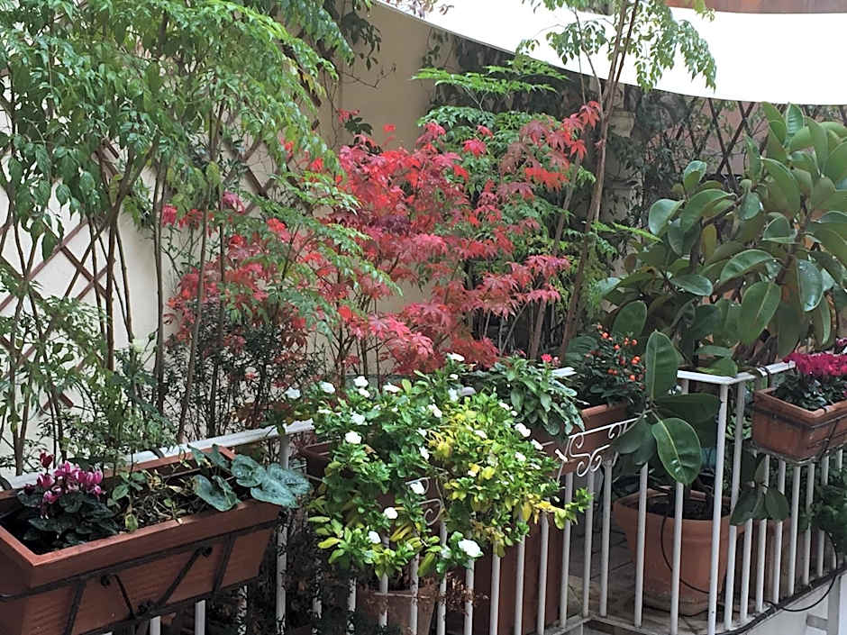 Relais Teatro Argentina