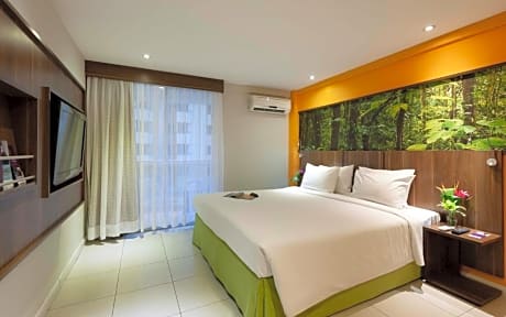 1 Classic Room with one double bed