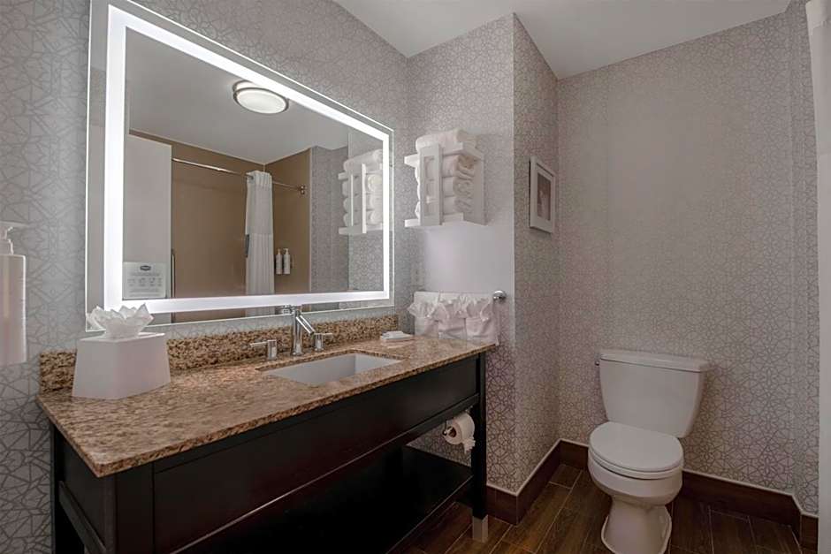 Hampton Inn By Hilton & Suites Harvey