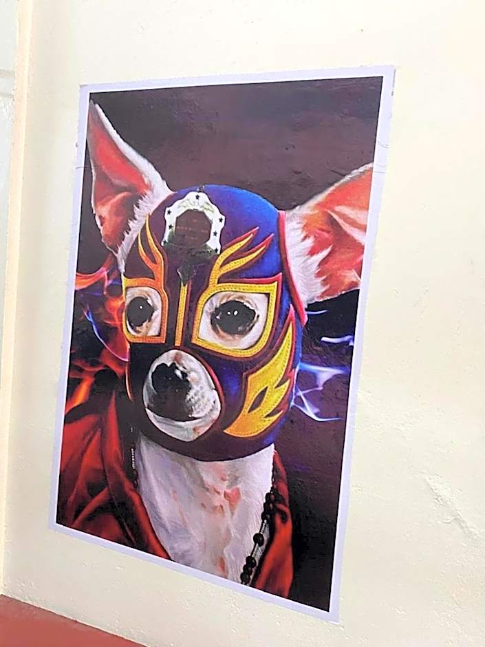 Hostal mil Mascaras 7