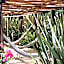 Hotel & Spa Luna Canela Boutique
