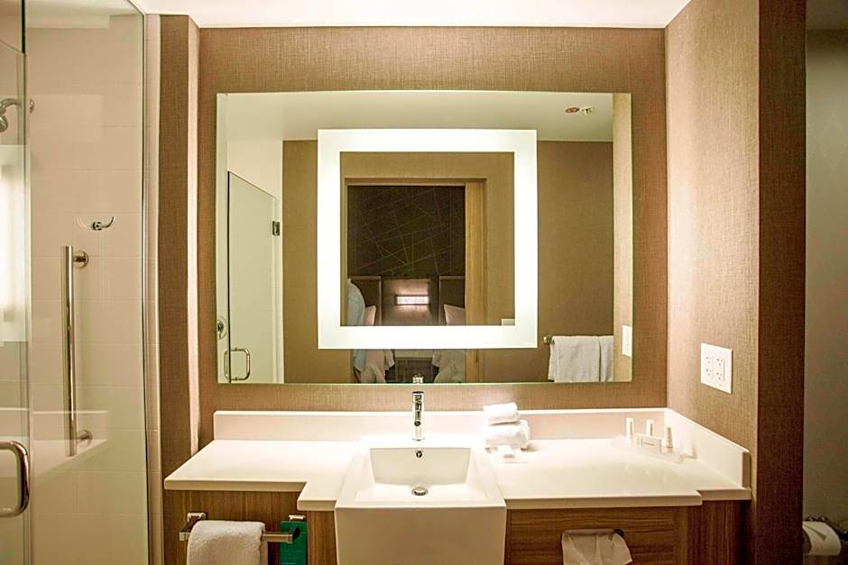 SpringHill Suites by Marriott Athens Downtown/University Area