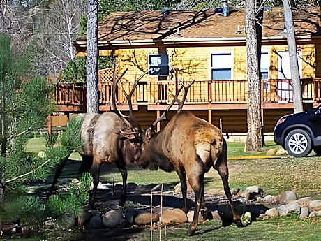 4 Seasons Inn on Fall River