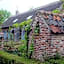Saffels Nest 33