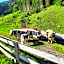 Gasthaus Häusling Alm