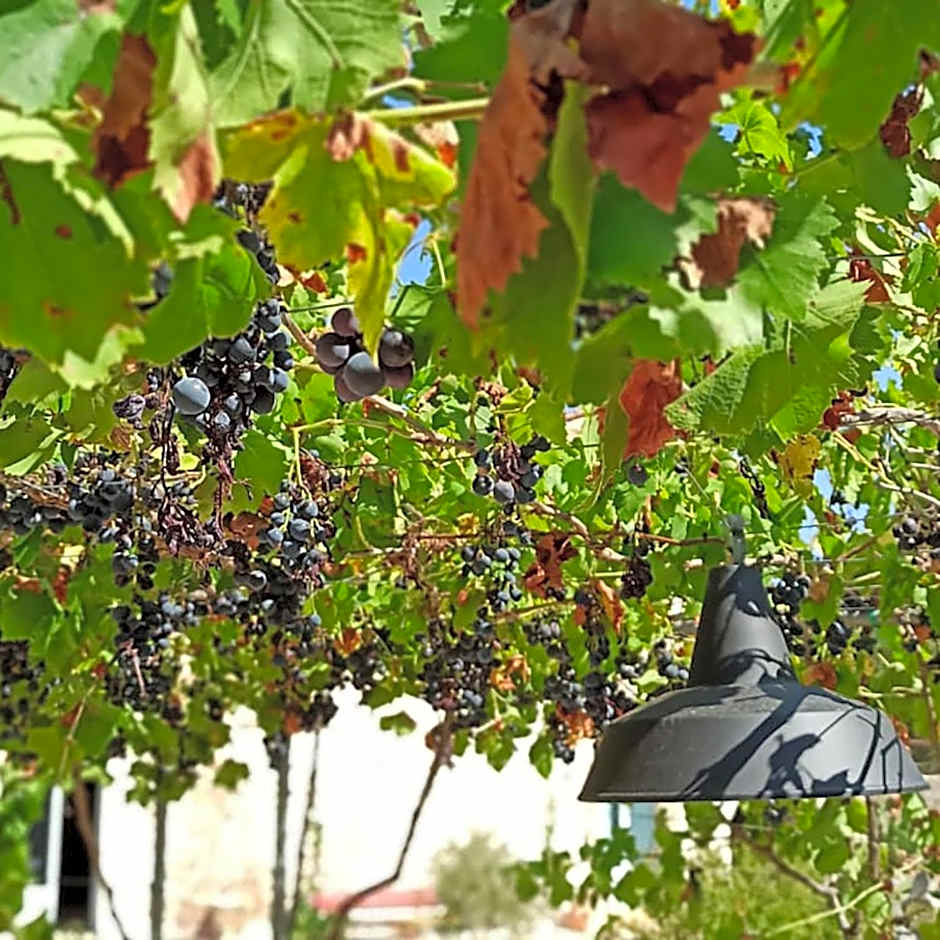 Masseria LoJazzo