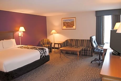 1 King Bed