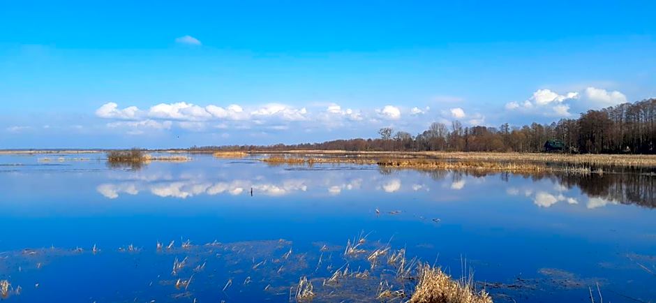 Noclegi nad Biebrzą Stara Szkoła