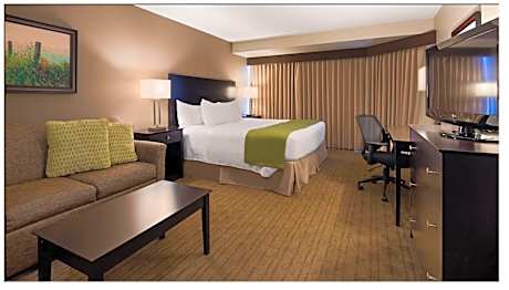 King Room with One King Bed and Pool View - Non-Smoking