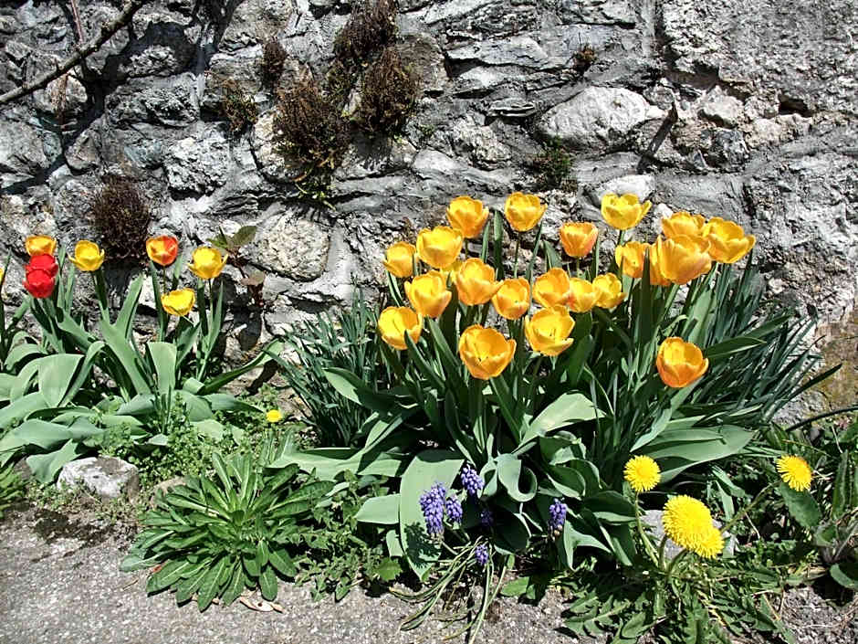 Le Domaine du Grand Cellier Chambres d'hôtes en Savoie