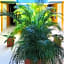 Hotel Playa del Parque By Rotamundos