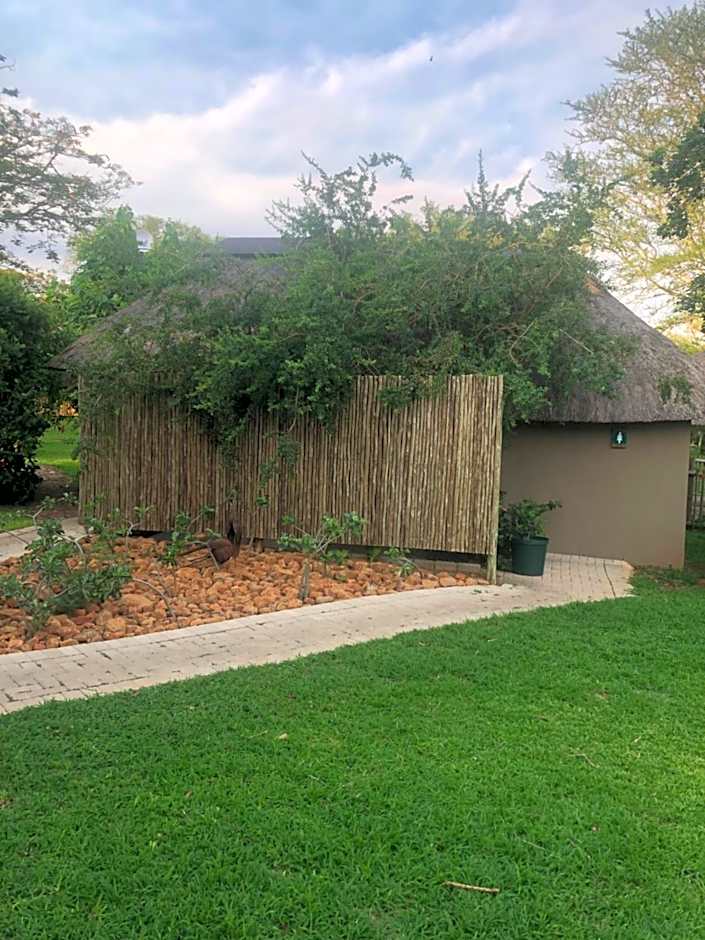 Jock of the Bushveld