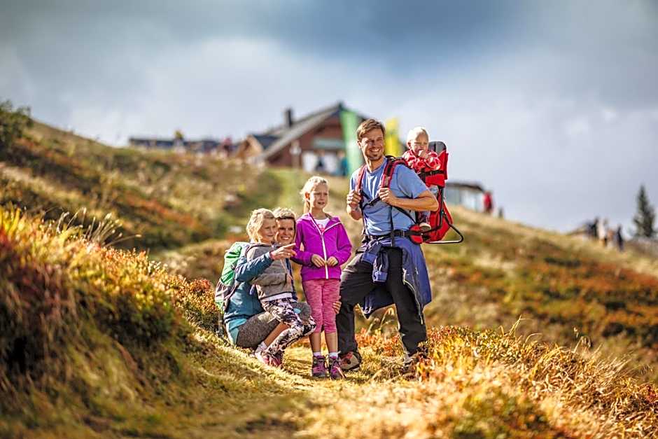 Aparthotel DAS Hochkönig
