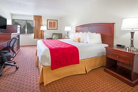 1 King Bed, No Smoking