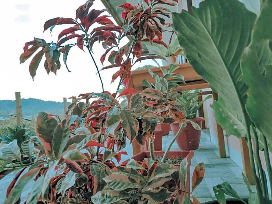 NoBi's Inn, Port Barton