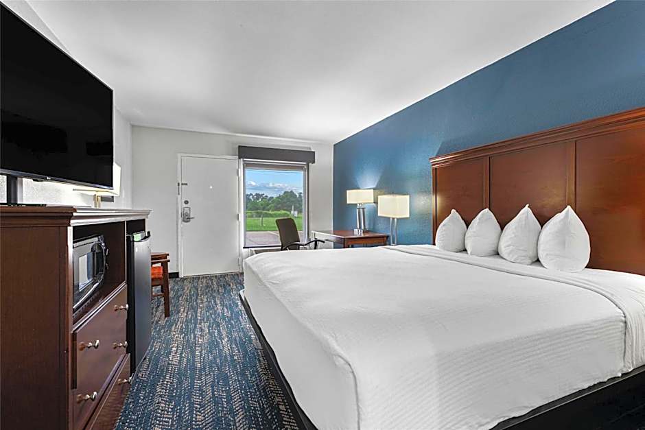 Best Western Canton Inn