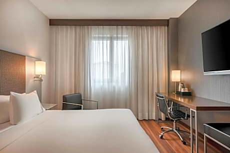 Standard Plus King Room, Guest room, 1 King