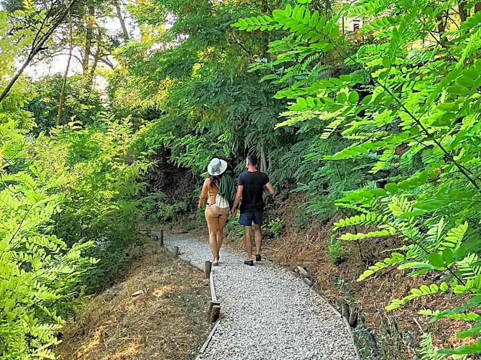 Tuffudesu Experience