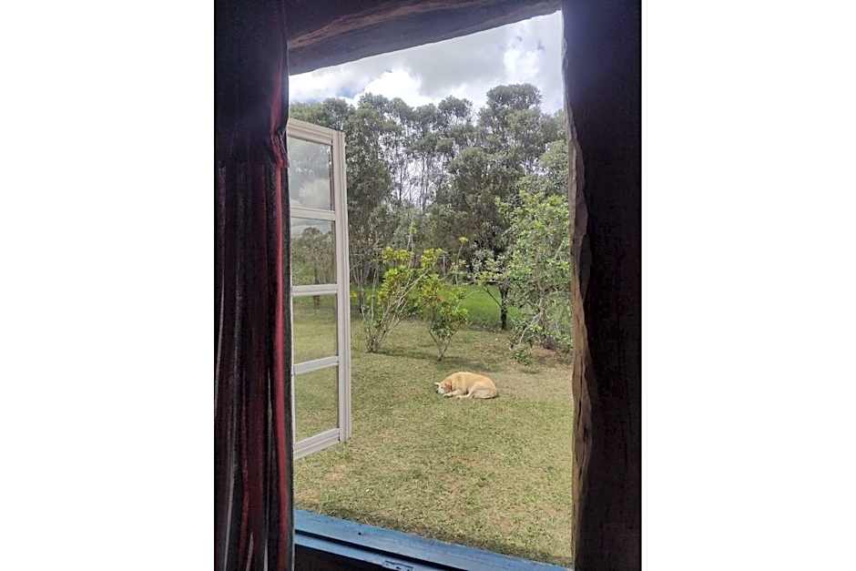 Pousada Chalé Terra Viva