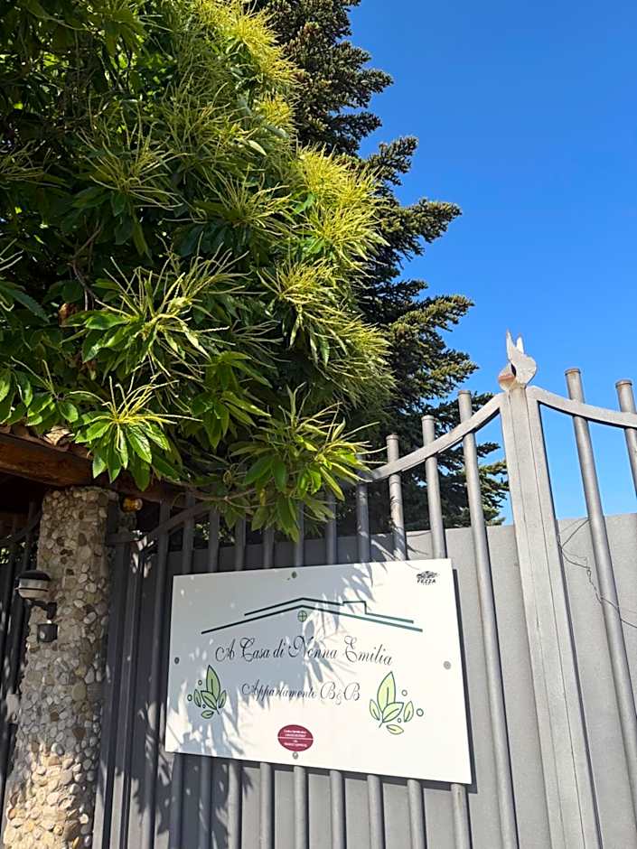 A Casa di nonna Emilia