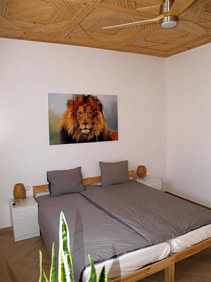 Dar Makai Surf Hotel