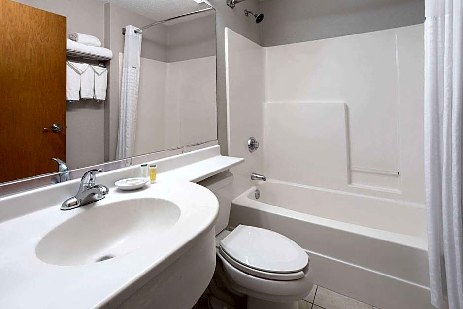 Microtel Inn & Suites By Wyndham Ann Arbor