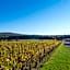 Domaine Joseph LAFARGE Wine Resort B&B