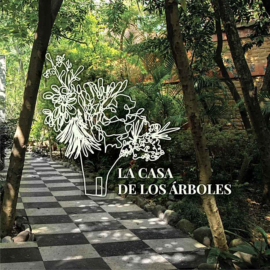 Hotel La Casa de los Árboles Immersive Experience