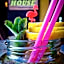 SURFtoLIVE House