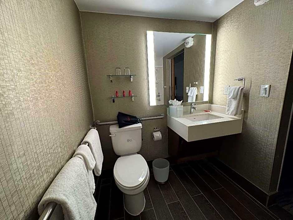 Skyline Hotel Detroit Airport, SureStay Collection by Best Western