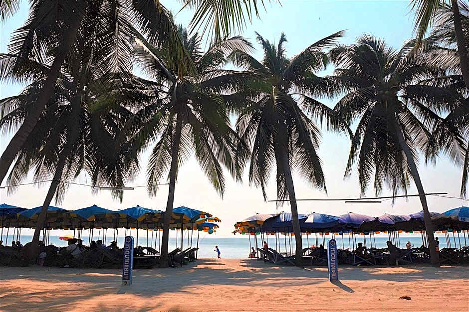 Sea Sand Trees