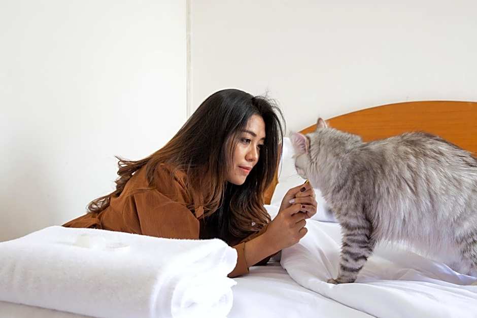 D haus Ngamwongwan Residence