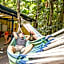 Cape Tribulation Beach House