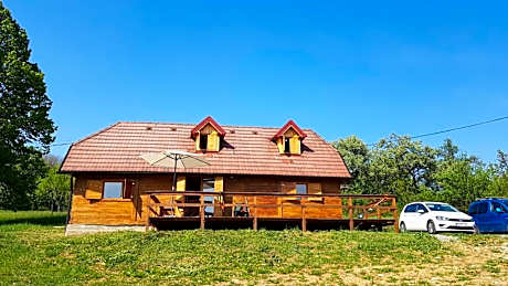 Pet friendly cabin with amazing view