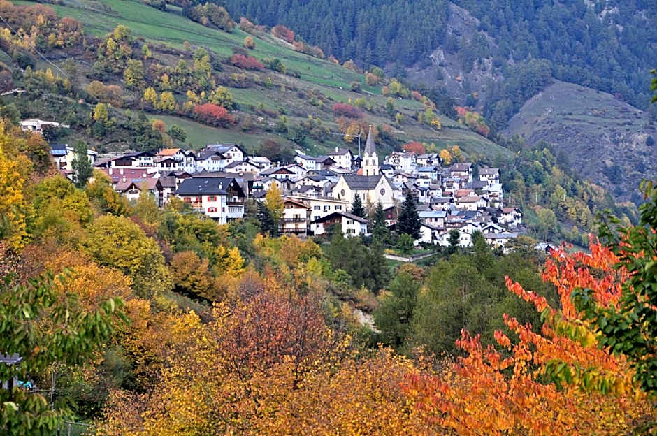 Hotel Traube - Stelvio