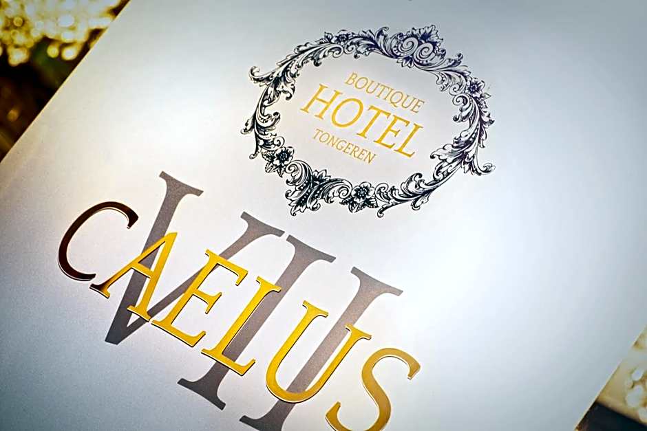 Boutique Hotel Caelus VII