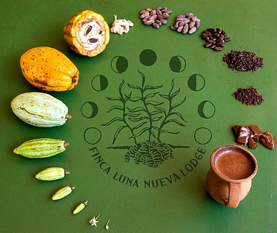 Finca Luna Nueva Lodge