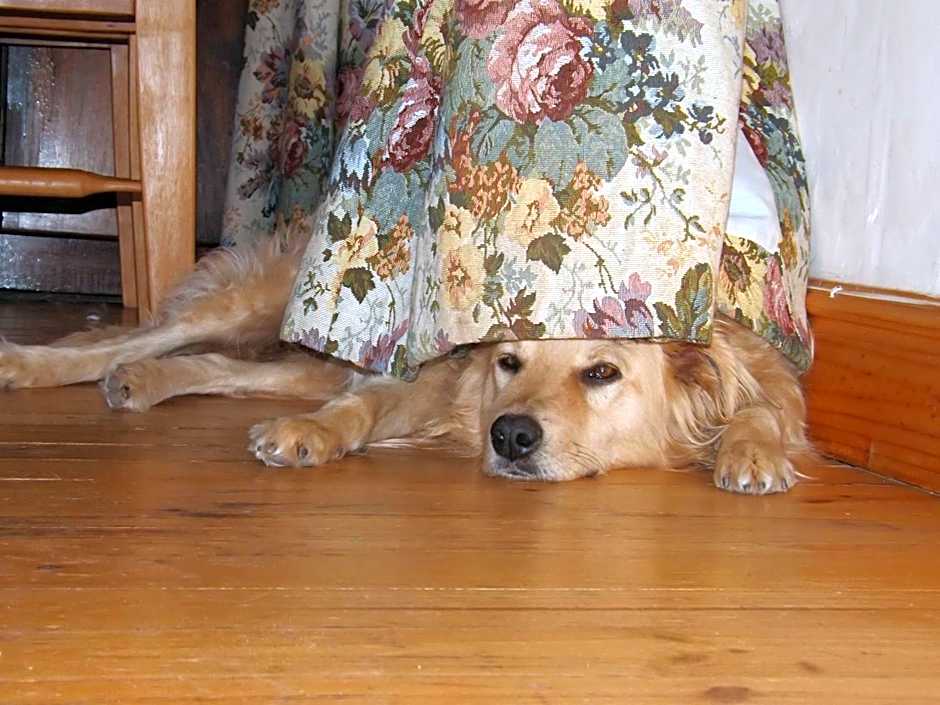 Masescha Country Estate