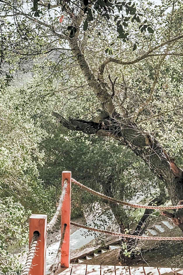 Boskenvid Hotel - Romantic Treehouses & Skypool