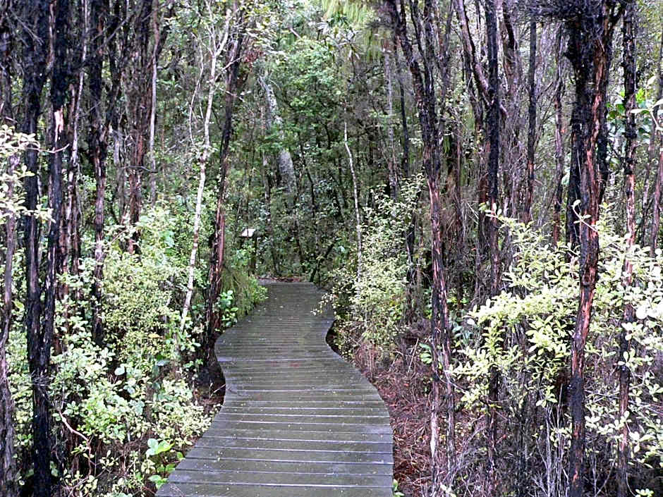 Surat Bay Lodge by the Sea/Backpackers Hostel