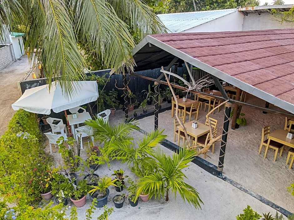 Turtle Maldives - Your Gateway to the Beach & Marine Adventures Await!