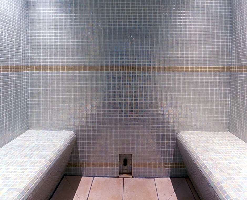 Mercure Saint Nectaire Spa & Bien-etre Hotel