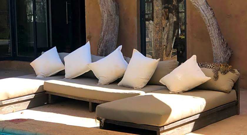 Simba Safaris African Pride Exotic Lodge