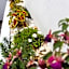 LOFTS en Cuernavaca con alberca climatizada